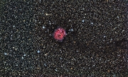 IC5146 -  Der Kokonnebel                   