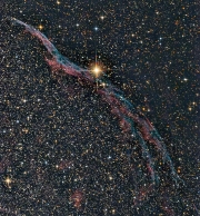 NGC6960 - Der Sturmvogel                   